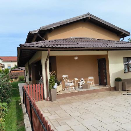 Luxury Airport Retreat Lägenhet Cluj-Napoca Exteriör bild